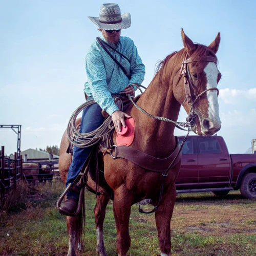 Stifle Injury in Horses: 7 Causes, Signs & Treatments