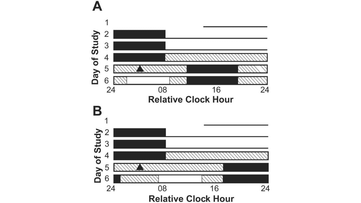 Red Light Therapy and Skin Health - Lumaflex