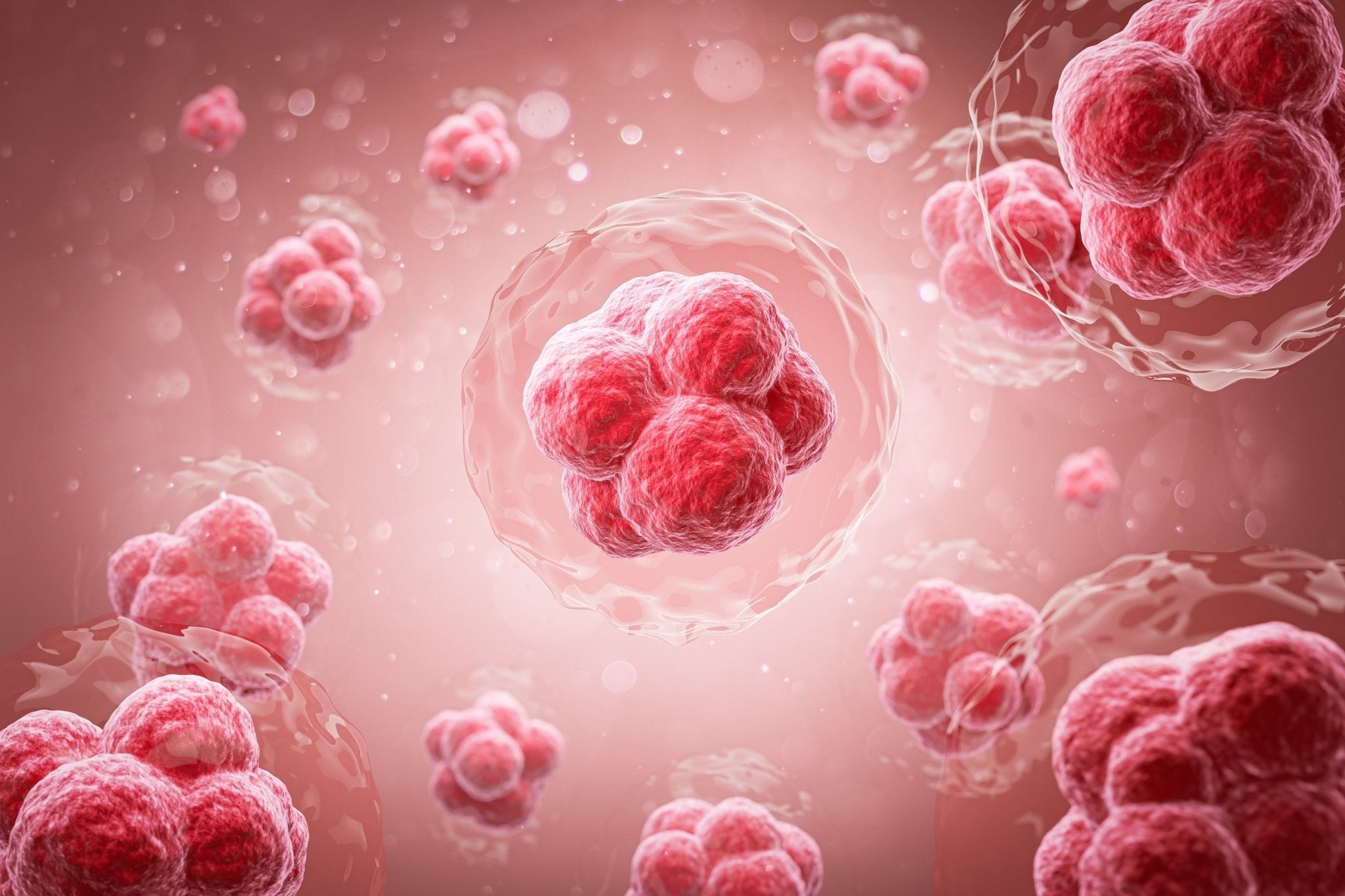 A Meta-analysis: Red Light Therapy and Cancer Risk - Lumaflex